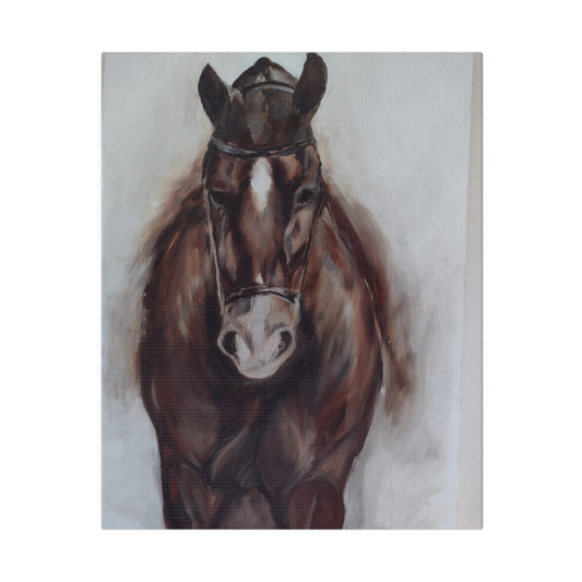 Horse protrait