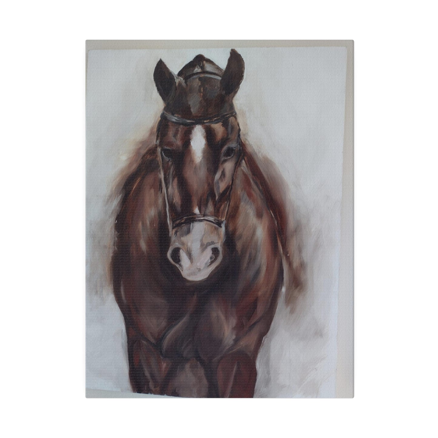 Horse protrait