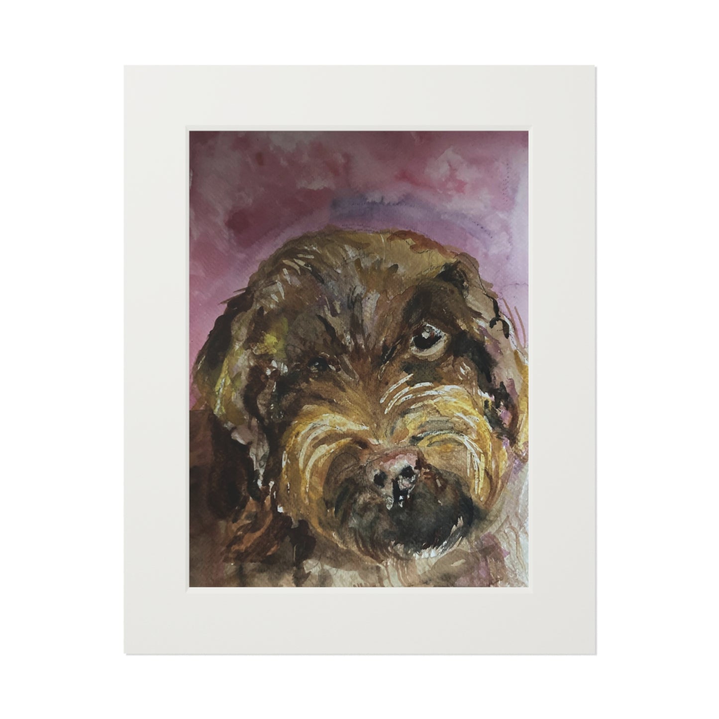 Dark tan Cockapoo dog  Fine Art Prints (Passepartout Paper Frame)